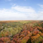 550+ Best Michigan Puns and Jokes