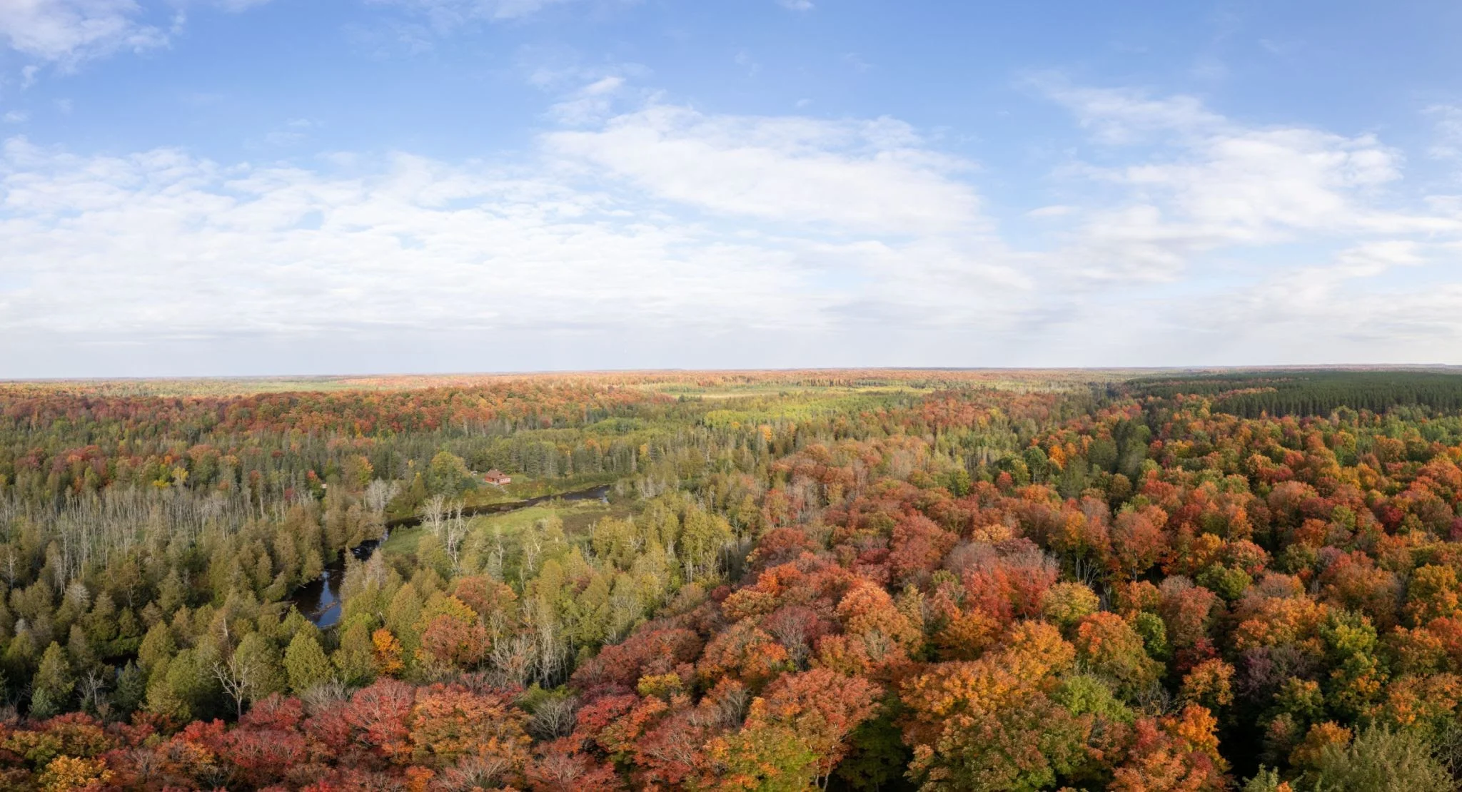 550+ Best Michigan Puns and Jokes