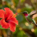 560+ Hummingbird Puns and Jokes