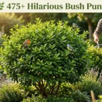 🌿 475+ Hilarious Bush Puns